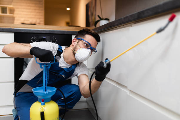Best Local Pest Control Services  in Allendale, MI