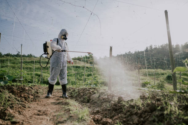 Best Pest Removal Services  in Allendale, MI