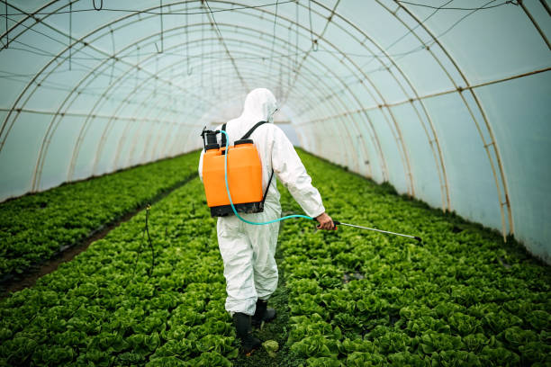 Best Pest Removal Services  in Allendale, MI