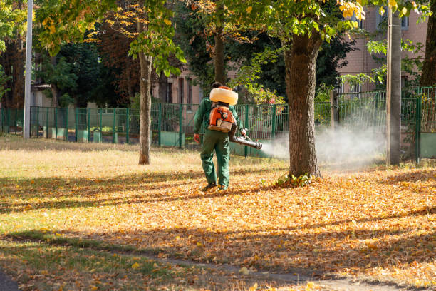Insect Control in Allendale, MI