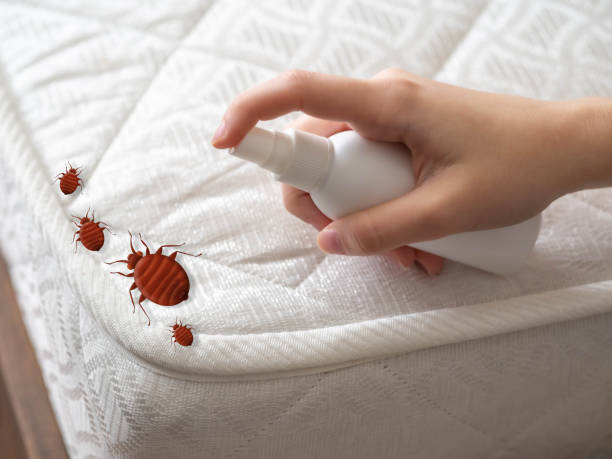 Best Pest Inspection Near Me  in Allendale, MI