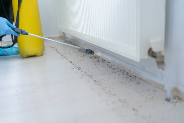 Trusted Allendale, MI Pest Control Experts
