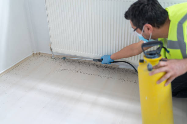 Best Mosquito Control Services  in Allendale, MI