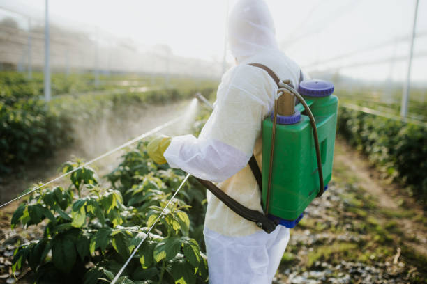 Best Cockroach Control Services  in Allendale, MI